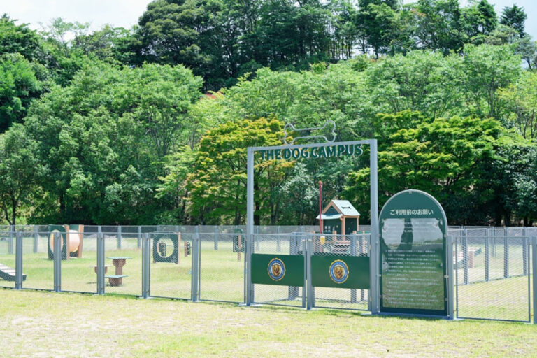THE DOG CAMPUS KOISHIWARA予約サイトオープン